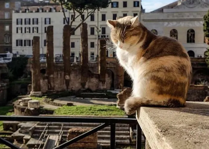 Ancient Mansion Apartment
